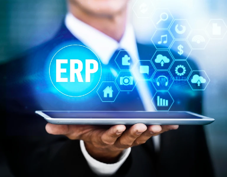 ERP services
